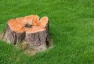 Subiacostump-grinding-services-2.jpg; ?>