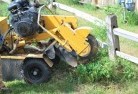 Subiacostump-grinding-services-3.jpg; ?>